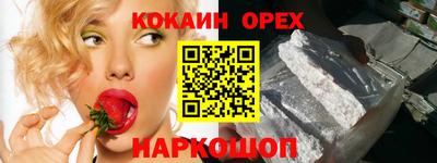 молекула духа Кингисепп