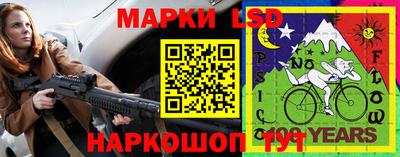 молекула духа Кингисепп
