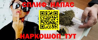 молекула духа Кингисепп