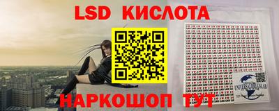 молекула духа Кингисепп
