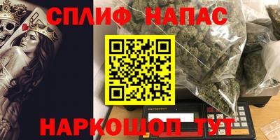 молекула духа Кингисепп