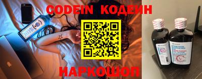 молекула духа Кингисепп