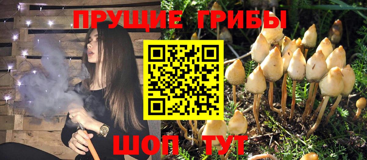 Галлюциногенные грибы мицелий Кубинка