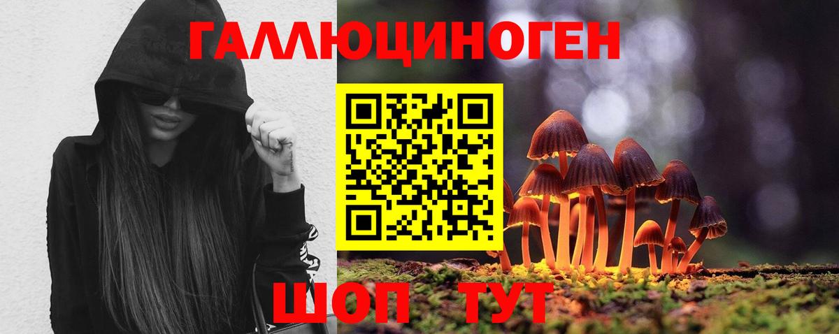 Галлюциногенные грибы Cubensis  как найти закладки  Кубинка  Вход с VPN 